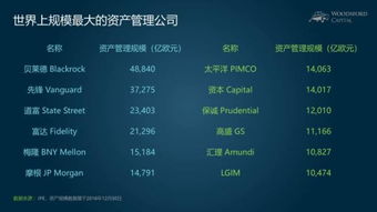 小烏龜學(xué)投資系列七 撥開迷霧，慧眼識珠——如何比較與區(qū)分海外股權(quán)投資機構(gòu)